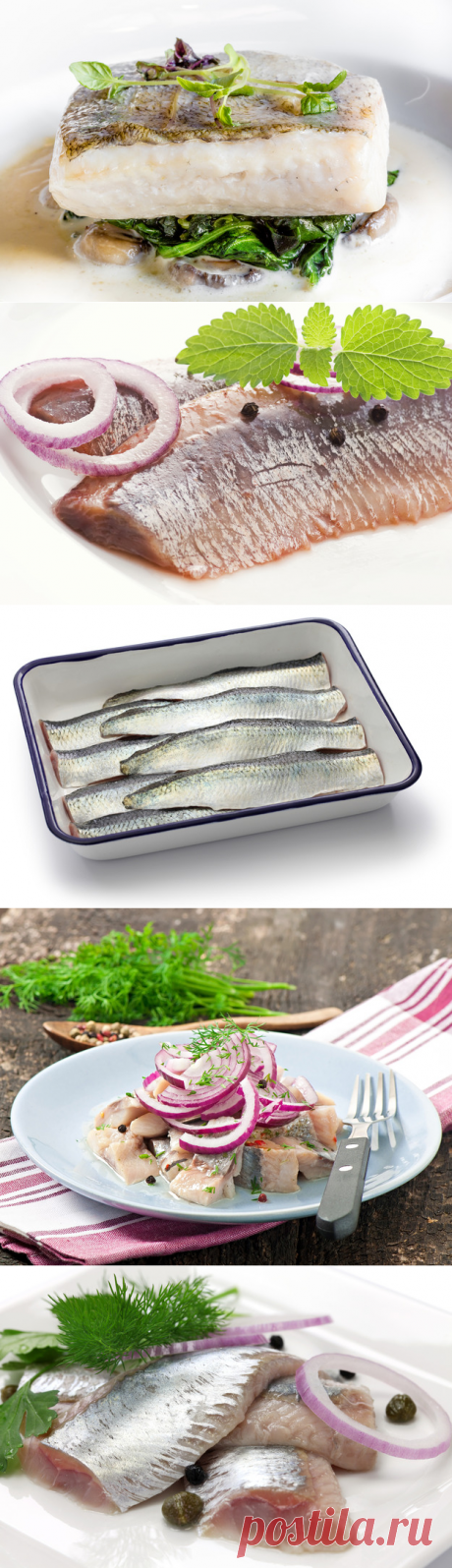 Как правильно мариновать рыбу - KitchenMag.ru