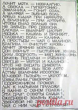 Интересные новости