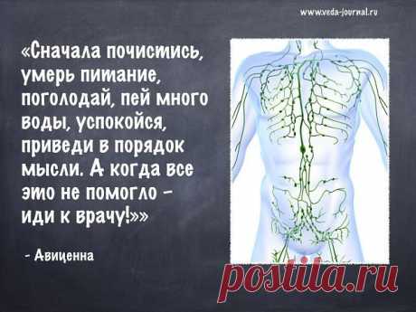ЛИМФАТИЧЕСКАЯ СИСТЕМА ЧЕЛОВЕКА ( канализация ) 
Чтобы заставить лимфу двинуться – надо применить ЛИМФОСТИМУЛЯТОР: СОЛОДКА, ЭХИНАЦЕЯ, ЧИСТОТЕЛ, ГЛАУБЕРОВА СОЛЬ, МАГНИЯ СУЛЬФАТ. Поэтому когда мы применяем препарат – вся лимфа в организме резко взбадривается, и начинает двигаться к выходу.
Эта процедура называется «лимфостимуляция», и делается НАТОЩАК