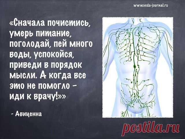 ЛИМФАТИЧЕСКАЯ СИСТЕМА ЧЕЛОВЕКА ( канализация ) 
Чтобы заставить лимфу двинуться – надо применить ЛИМФОСТИМУЛЯТОР: СОЛОДКА, ЭХИНАЦЕЯ, ЧИСТОТЕЛ, ГЛАУБЕРОВА СОЛЬ, МАГНИЯ СУЛЬФАТ. Поэтому когда мы применяем препарат – вся лимфа в организме резко взбадривается, и начинает двигаться к выходу.
Эта процедура называется «лимфостимуляция», и делается НАТОЩАК