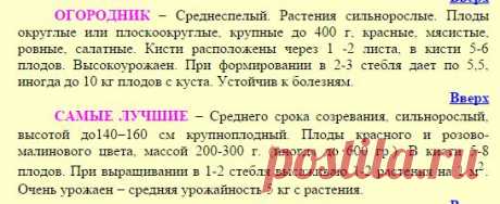 КРУПНОПЛОДНЫЕ ПОМИДОРЫ (10—15 семян)