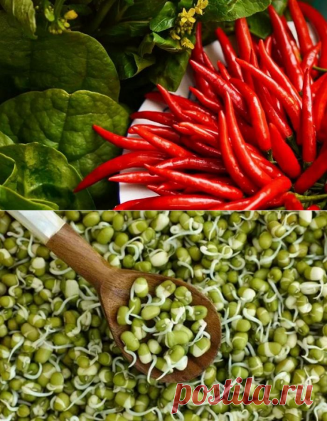 10 продуктов, которые действительно помогают сбросить вес