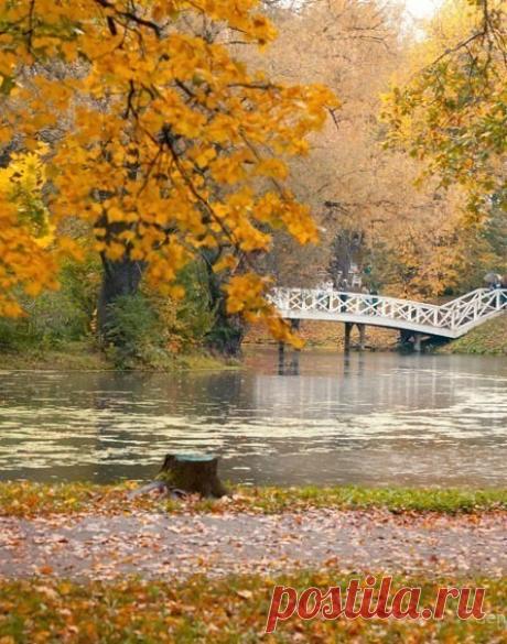 Люблю мечтать под шум дождя, 
Смотреть на капли на стекле, 
Люблю побыть внутри себя… 
Чтоб чашка кофе на столе. 
Я заберусь под теплый плед, 
Свернусь калачиком и вот- 
Я погашу на кухне свет 
И спрячусь в сумрак от забот. 
Мне мягко и тепло внутри, 
Пушисто и совсем не сыро, 
В субтропиках моей любви, 
Вдали от тонущего мира. 
Там за окошком рассвело, 
И девять баллов по шкале ненастья, 
А я внутри и мне тепло, 
Я словно в раковине счастья 
Уютен мой смешной мирок, 
Его ...