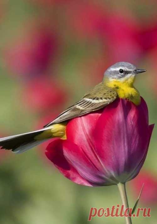 HAVE A NICE DAY