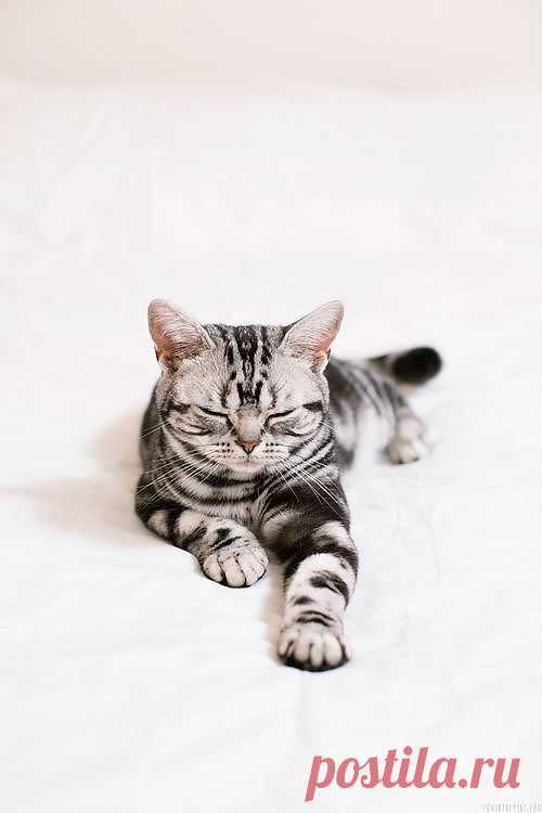 ❤