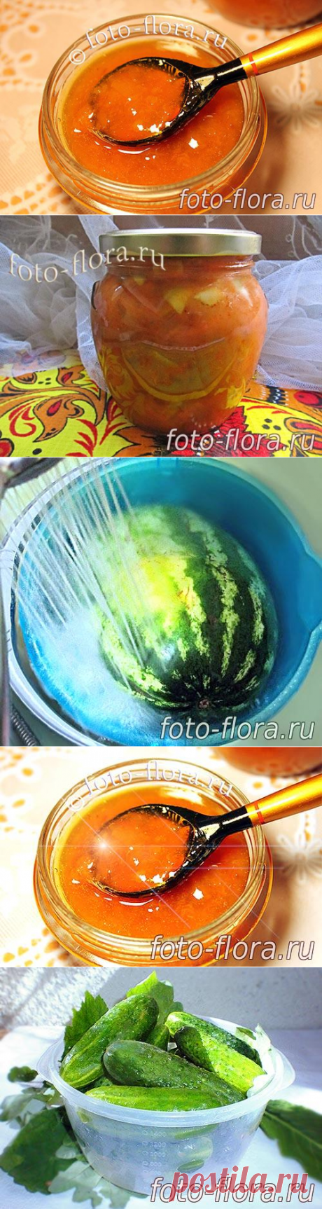Заготовки на зиму - домашние рецепты с фото от простых хозяек: как сделать вкусно впрок консервацию так что зимой пальчики оближешь