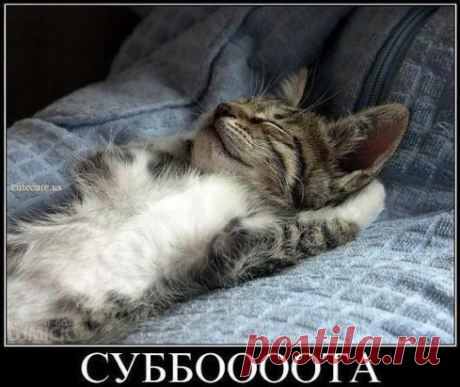 Интересные новости