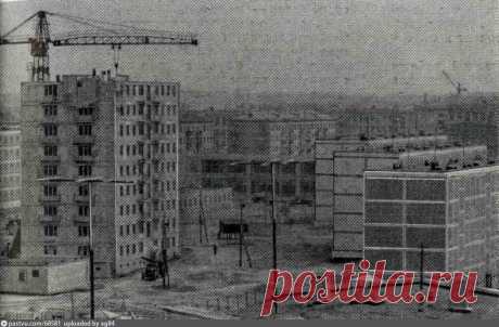 Фотография - Кузьминки, квартал №114 - Фотографии старой Москвы