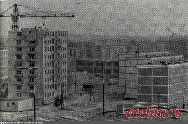 Фотография - Кузьминки, квартал №114 - Фотографии старой Москвы