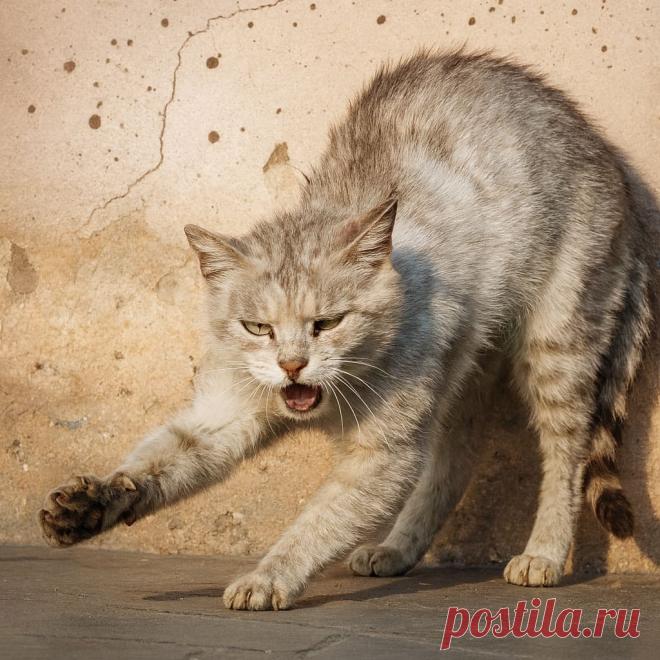 Маска - OGADANIE.RU