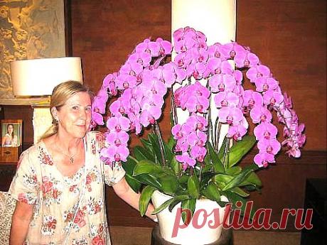 (69) Одноклассники