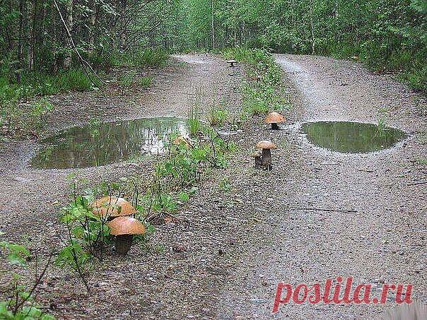 Прогуляться бы! ... ;)