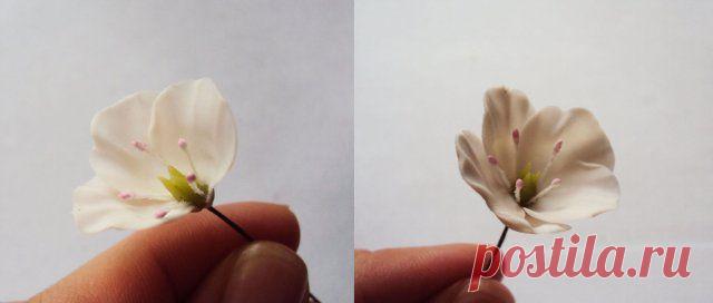 Яблоневый цвет из самозастывающей пластики.