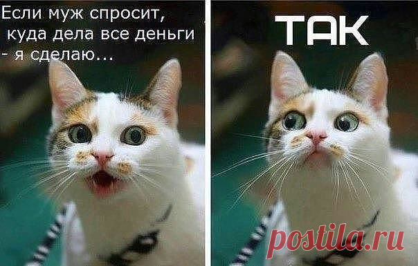 САМАЯ ОБАЯТЕЛЬНАЯ И ПРИВЛЕКАТЕЛЬНАЯ
Галина Бычек