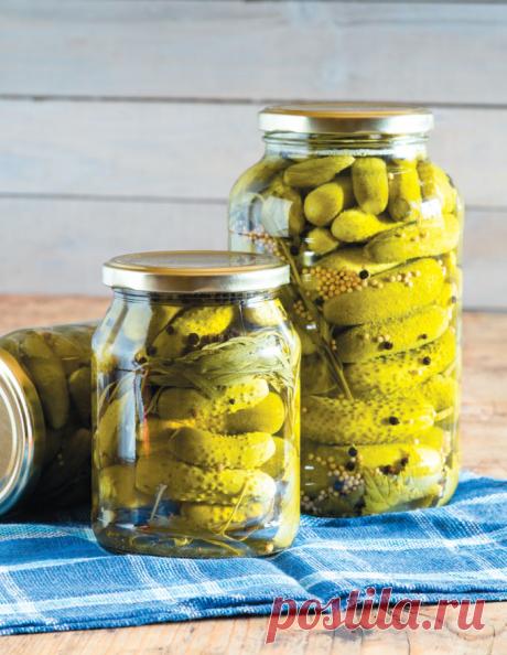 Рецепты огурцов на зиму: малосольные, соленые, маринованные огурцы.