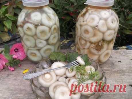 Три заготовки из грибов.
1. Засолка грибов - холодный способ.
грибы (рыжики, черные и белые грузди, волнушки, сыроежки) - 1 кг
Показать полностью…