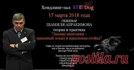Приглашаем вас на семинар Шамиля Абракимова | Хендлинг-зал SteepDog