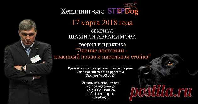 Приглашаем вас на семинар Шамиля Абракимова | Хендлинг-зал SteepDog