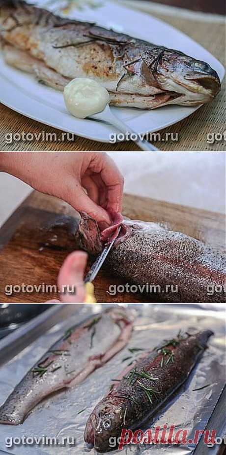 Форель с розмарином и соусом айоли. Фото-рецепт / Готовим.РУ