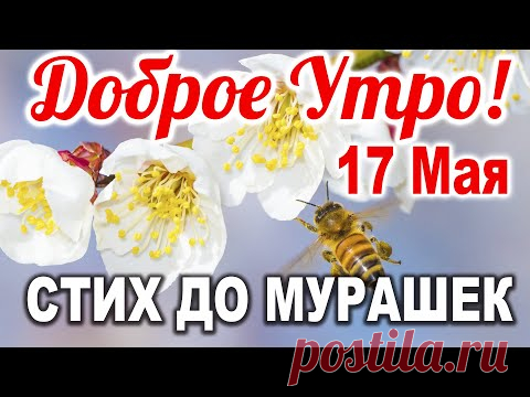 ДОБРОЕ УТРО! С Добрым Утром! Музыкальная открытка