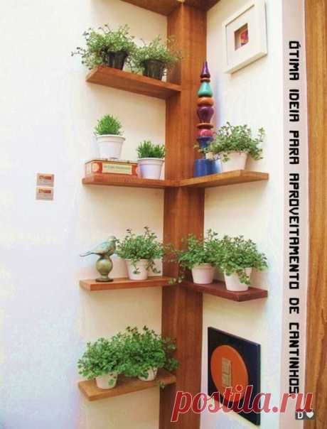 (585) Pinterest