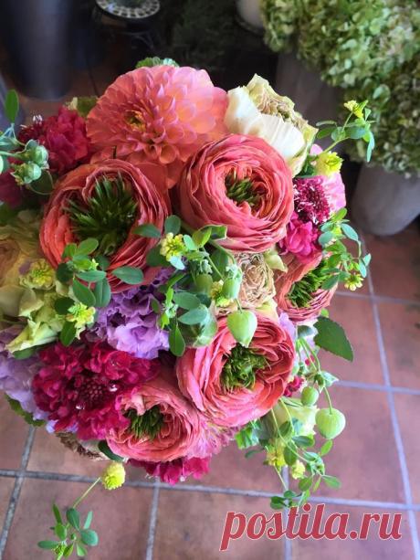 флористика