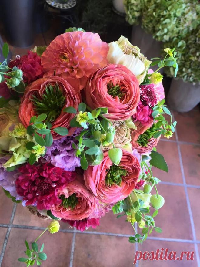 флористика