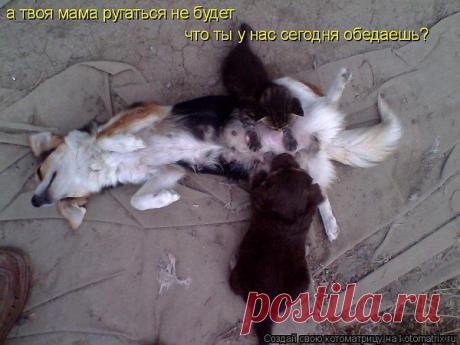 Интересные новости