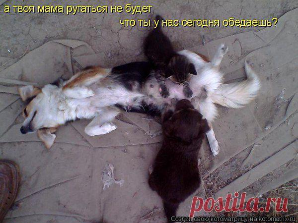 Интересные новости