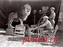 Фотографии Хроники