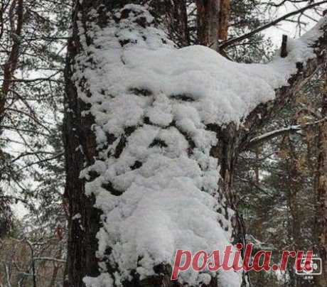 Природа-мастерица