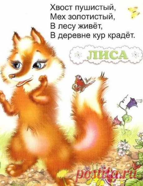Загадки для малышей
Знакомимся с животными