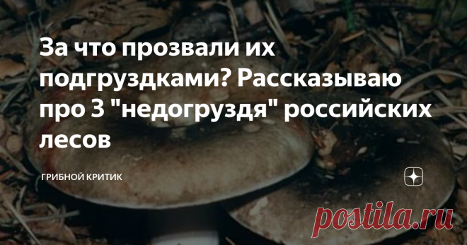 За что прозвали их подгруздками? Рассказываю про 3 