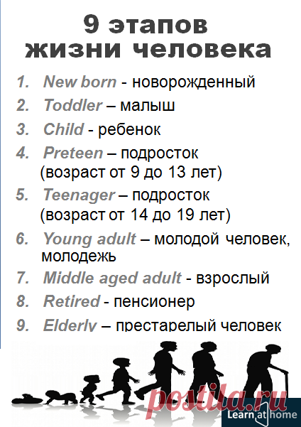 9 этапов жизни человека #english #vocabulary