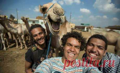 Когда второй план важен: 25 самых смешных фото - Hotzoom.net