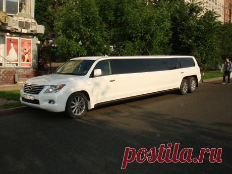 толко новые