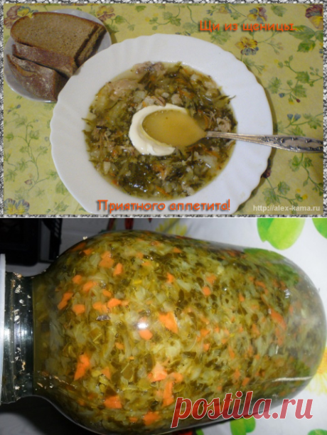Щи зелёные, рецепт