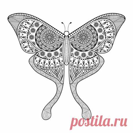Boho стиль декоративные бабочки Более миллиона свободных векторов, PSD, фотографии и бесплатные иконки. Эксклюзивные халявы и все графические ресурсы, которые необходимые для ваших проектов