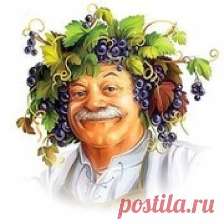 ХЕРЕС БЕЛЫЙ КРЕПКИЙ в домашних условиях. для приготовления 5 литров ХЕРЕСА в домашних условиях нам необходимо 10 литров молодого сухого вина. 10 литров домашнего виноградного белого сухого вина разливаем равномерно по трём 5-литровым пластиковым бутылям и выставляем на улицу на ночь на мороз от -20гр. утром жидкость сливаем , лёд выбрасыва...