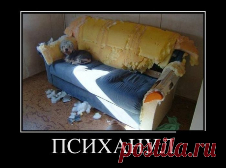 Улыбательные демотиваторы