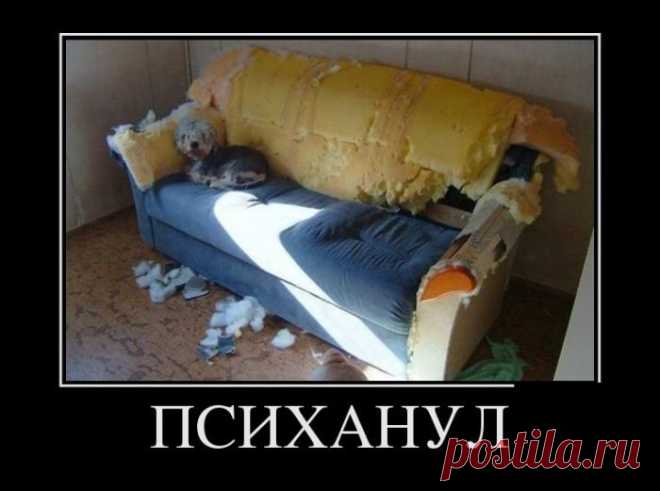 Улыбательные демотиваторы