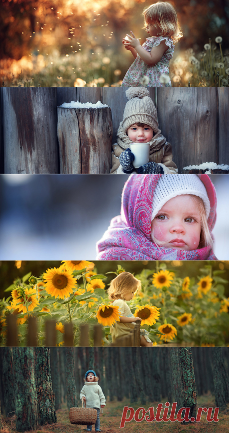 Онлайн-школа фотографии 📸