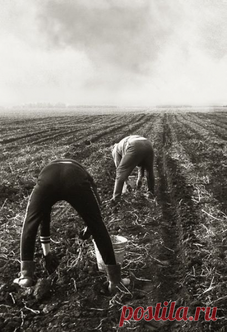 Фото СССР » СССР - Добро пожаловать на патриотический сайт, посвящённый стране, в которой мы родились - Союзу Советских Социалистических Республик (СССР)