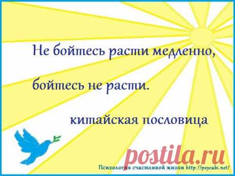 Мотивация успех. Бизнес мотиваторы. Любимая работа, развитие. - Психология счастливой жизни