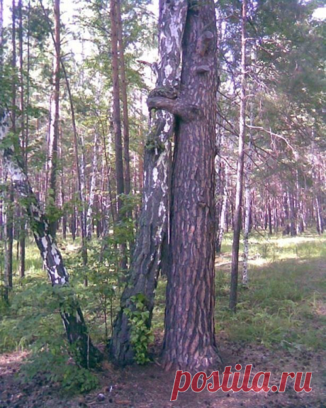 Мой Мир@Mail.Ru