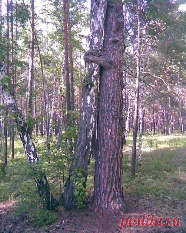 Мой Мир@Mail.Ru