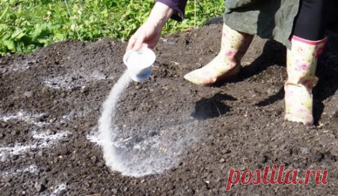 Технология известкования почвы весной и осенью