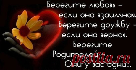Постарайтесь сберечь то, что дорого сердцу.
Постарайтесь любовь и мечту не терять.
От ошибок, увы, никуда нам не деться, -
Не теряйте способности ближних прощать.
Оградите родных от случайных раздоров,
От непрошеных слёз и нелепых обид.
От пустой клеветы и людских приговоров,
Не тревожьте души, что ночами болит.
Не губите ростки самых дерзких желаний,
Не рубите под корень доверья стволы.
Воздержитесь от склок и немых притязаний.
Затворите сердца от колючей молвы.