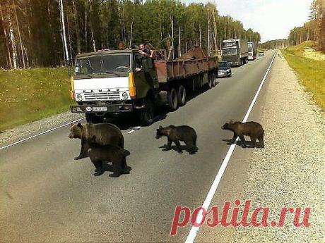 Вот она наша СИБИРЬ!!! Не забудь поставить класс и поделиться ====>>https://sokomarin.blogspot.ru/ <<=====