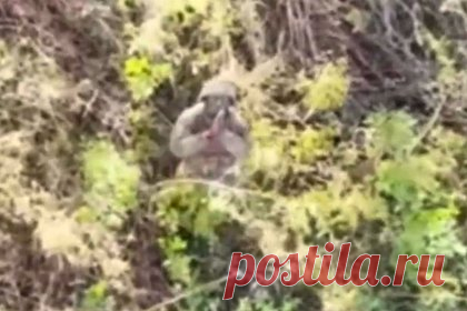 Боец ВСУ обратился к российским военным, встав на колени перед дроном. Что он сказал?